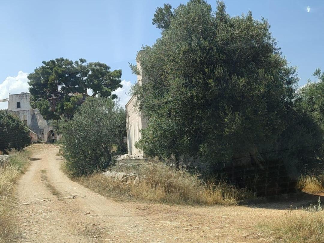 La Guendalina Masseria E Casa Particular Bed and Breakfast Monopoli Exterior foto